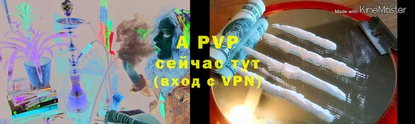 крисы Зеленокумск