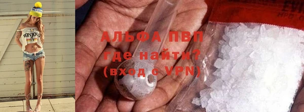 крисы Зеленокумск
