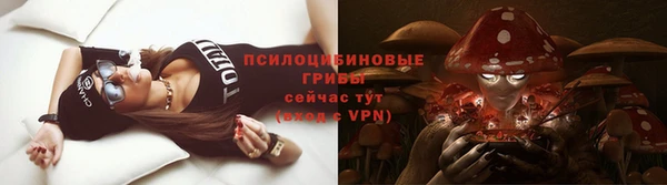 трава Зеленодольск