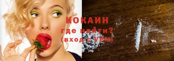 крисы Зеленокумск
