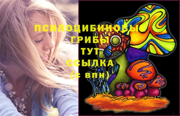 крисы Зеленокумск