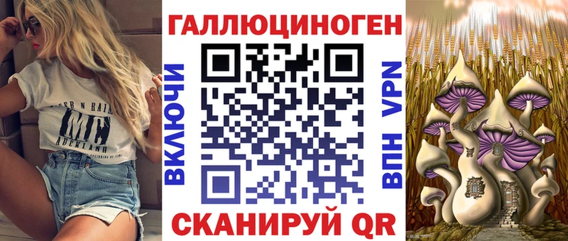 Галлюциногенные грибы GOLDEN TEACHER  Купить где  Суздаль 